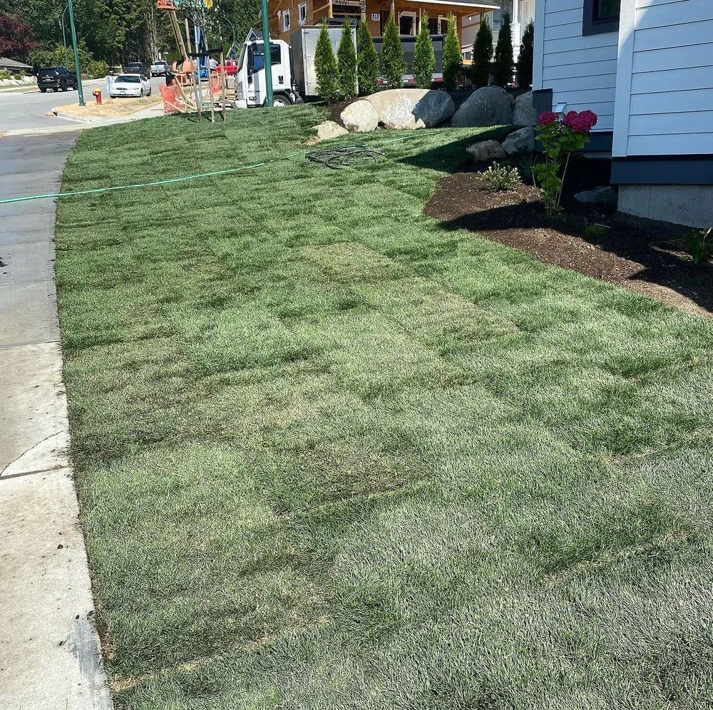 Local outdoor landscaping in Austin, TX by Blackland Lawn Care