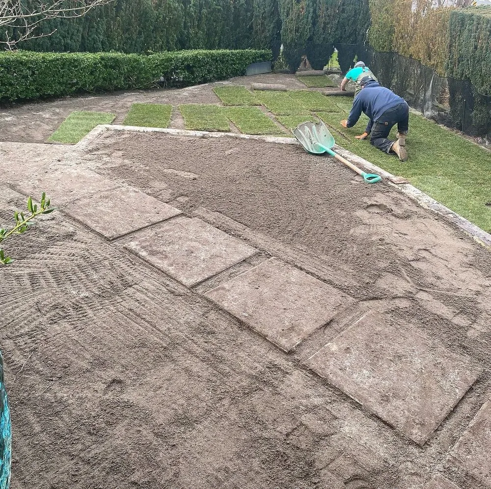 Expert landscaping services in Austin, TX by Blackland Lawn Care