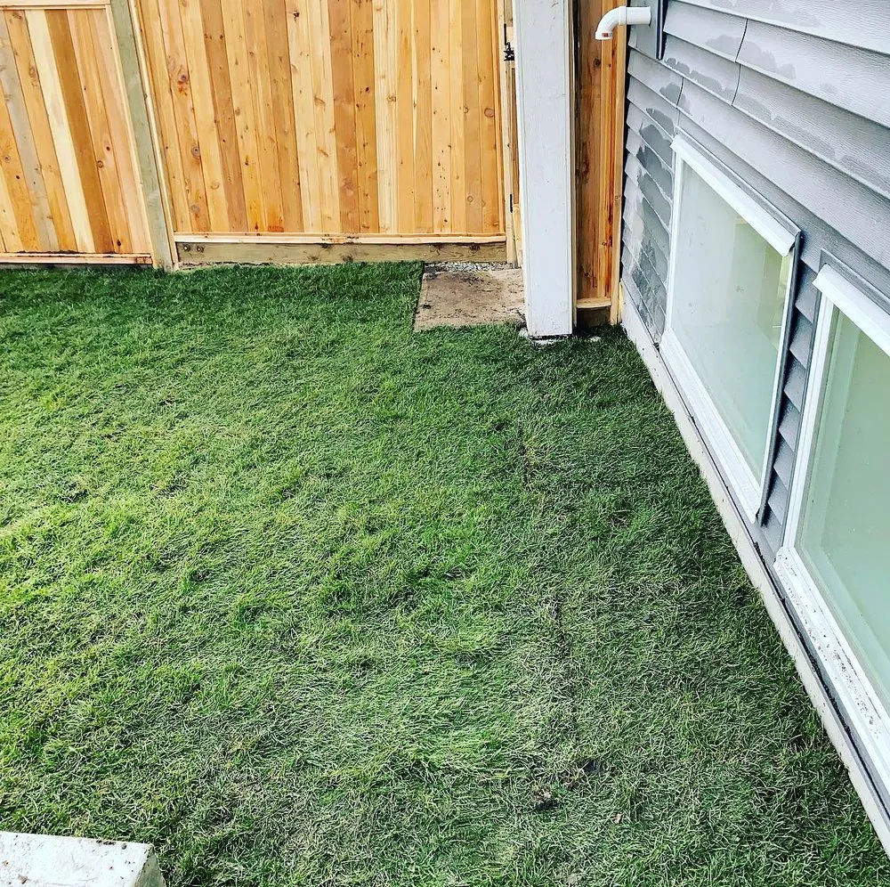 Custom yard maintenance for year-round maintenance across Austin, TX - Blackland Lawn Care