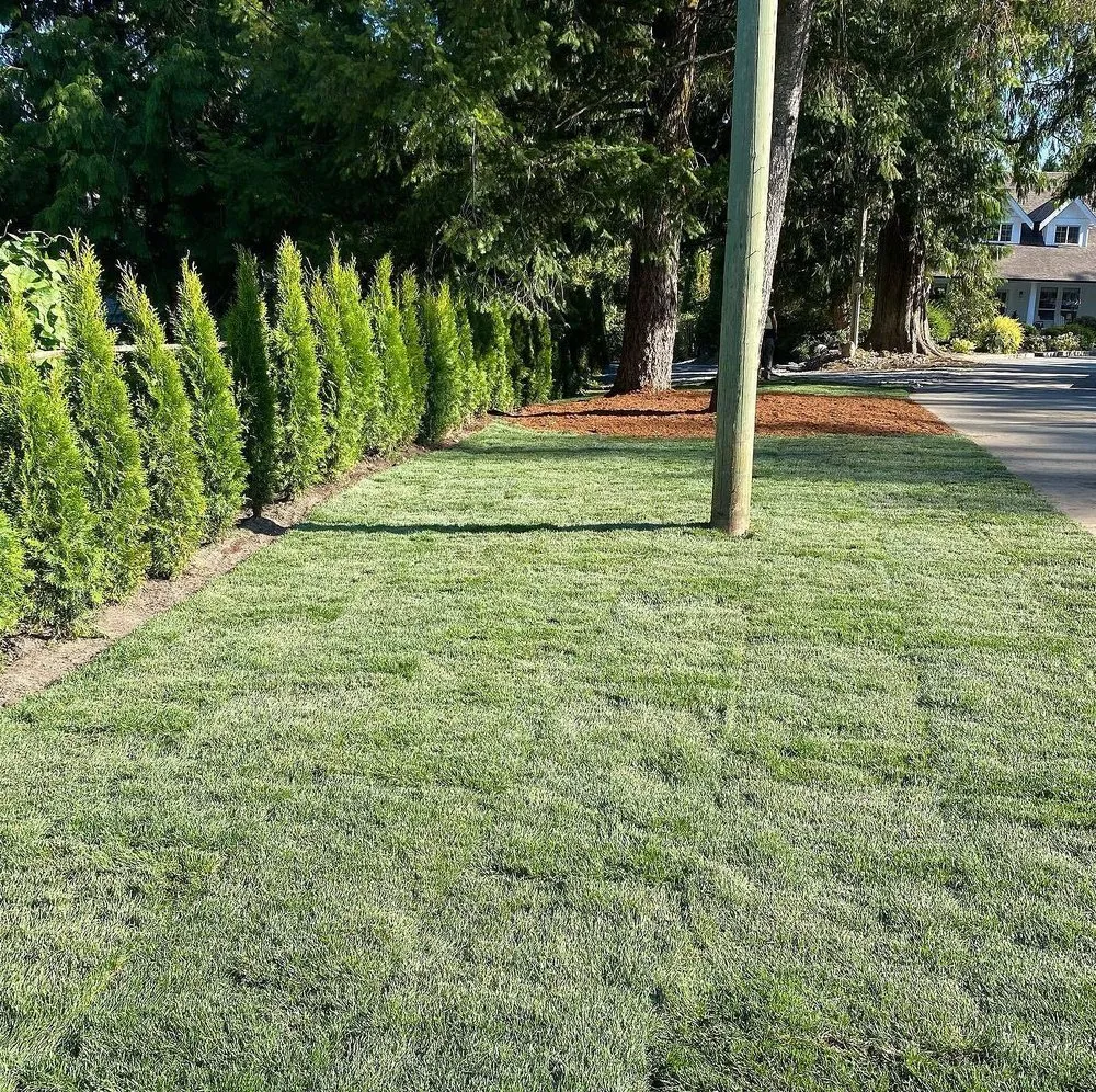 Custom lawn care service in Austin, TX - Blackland Lawn Care