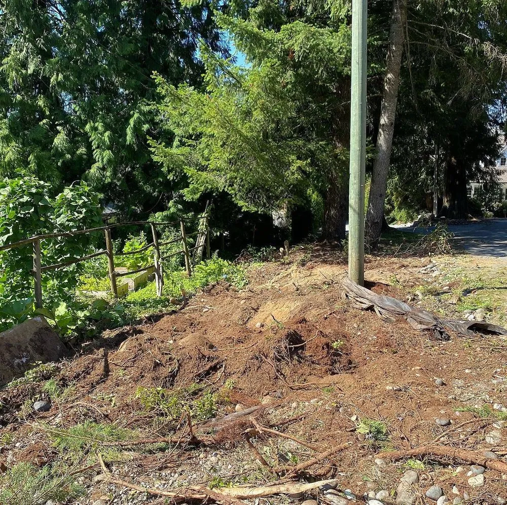 Professional lawn mowing service in Austin, TX by Blackland Lawn Care