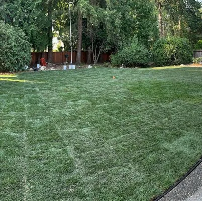 Blackland Lawn Care Logo