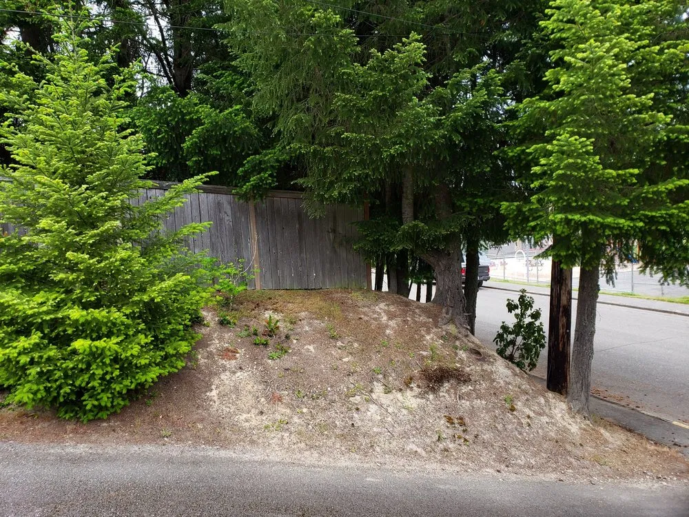 Reliable landscaping services experts serving Port Orchard, WA - Blacklotus Landscaping