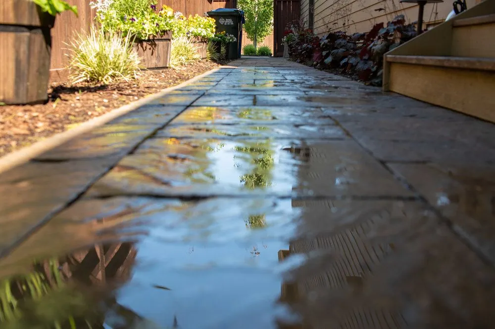 Trusted landscape design in Port Orchard, WA by Blacklotus Landscaping