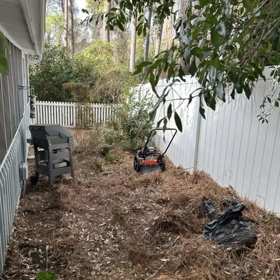 Blackman & Sons Lawns and Landscapes