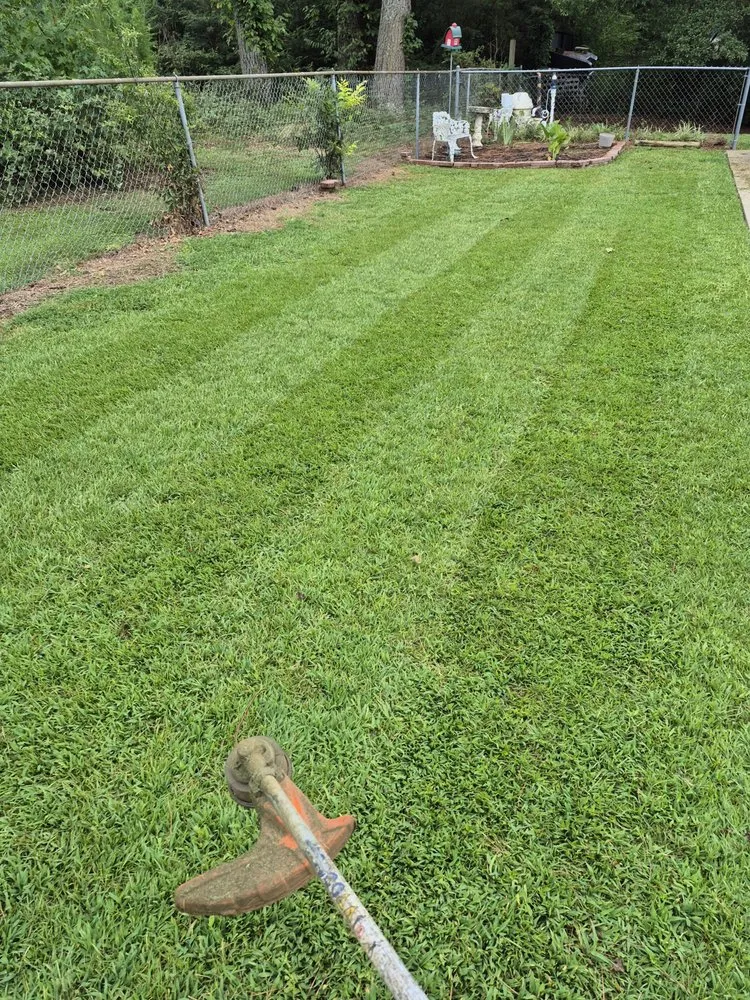 Custom yard maintenance for homes across Royston, GA - Blackmon Land Services