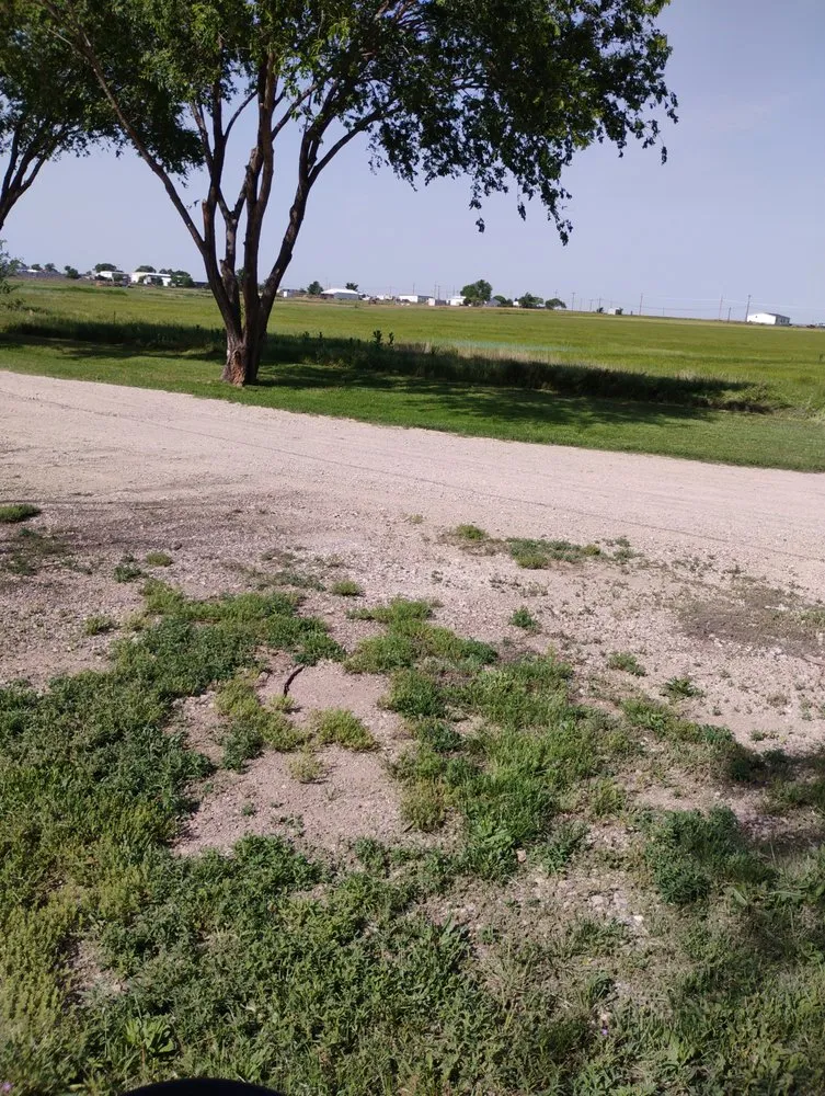 Trusted lawn care service for outdoor upgrades in Timbercreek Canyon, TX by Blackmon Landscaping