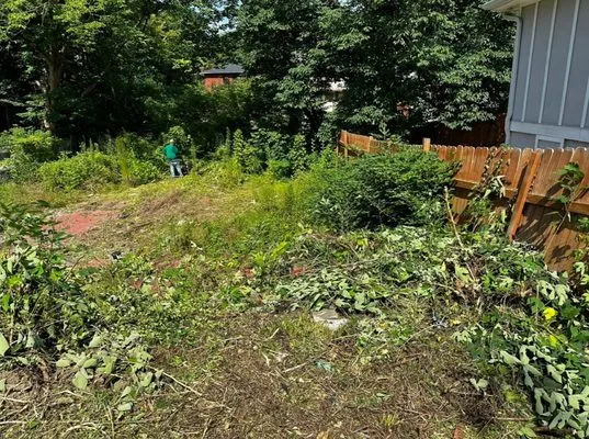 Blackmon Lawn Services Logo