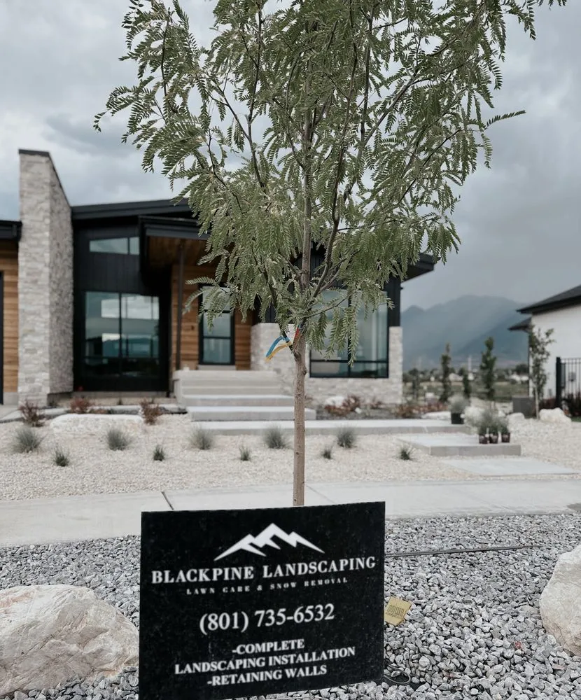 Affordable landscaping services in Orem, UT - BlackPine Landscaping