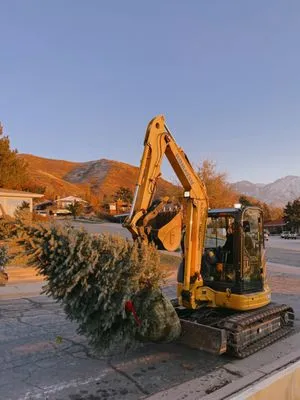 BlackPine Landscaping Logo