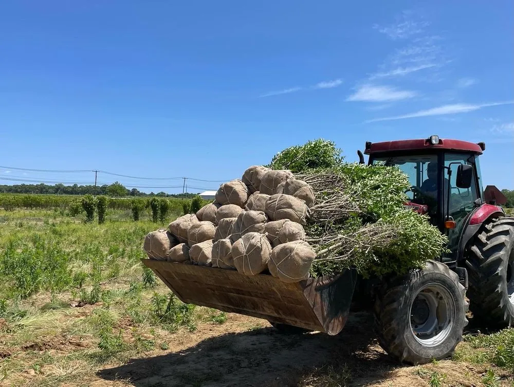 Trusted landscape design in Mattituck, NY by Blackrock Landscape
