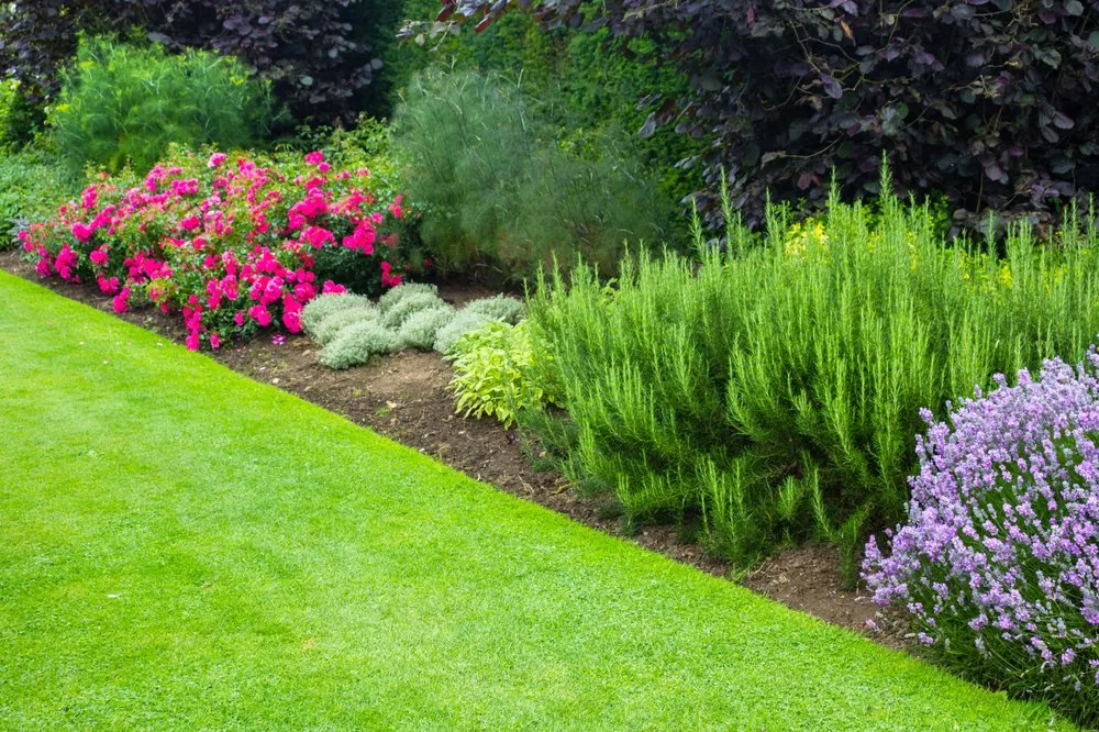 Top-rated lawn care service in Mattituck, NY - Blackrock Landscape
