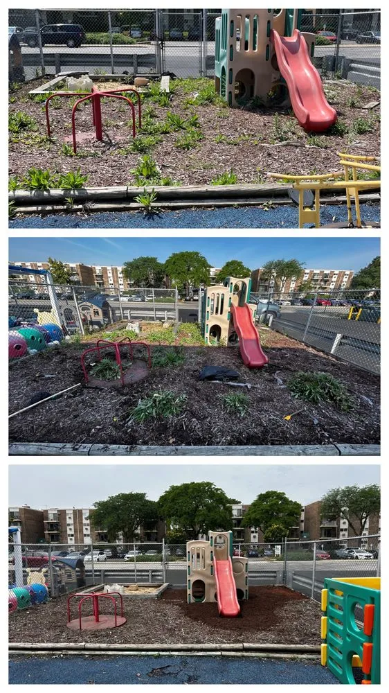 Reliable lawn care service experts serving Barrington, IL - BlackRock Outdoor Living