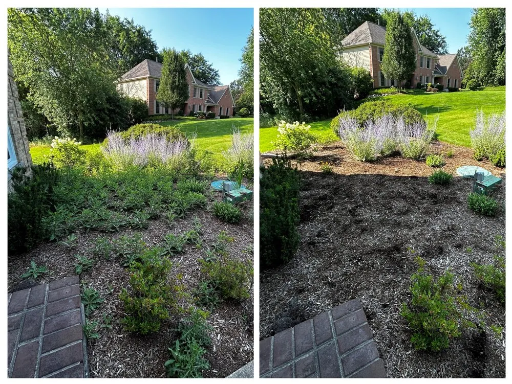 Top-rated outdoor landscaping with custom design in Barrington, IL by BlackRock Outdoor Living