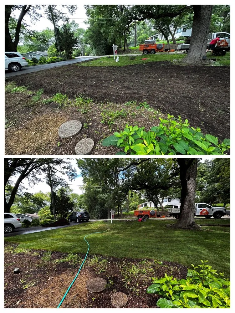 Trusted yard cleanup service experts serving Barrington, IL - BlackRock Outdoor Living