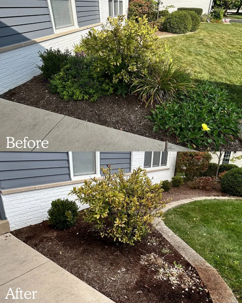 Local lawn care service experts serving Barrington, IL - BlackRock Outdoor Living