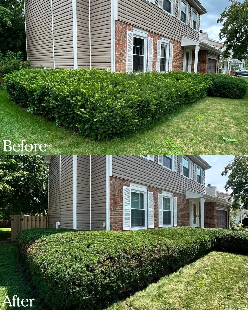 Professional yard cleanup service experts serving Barrington, IL - BlackRock Outdoor Living