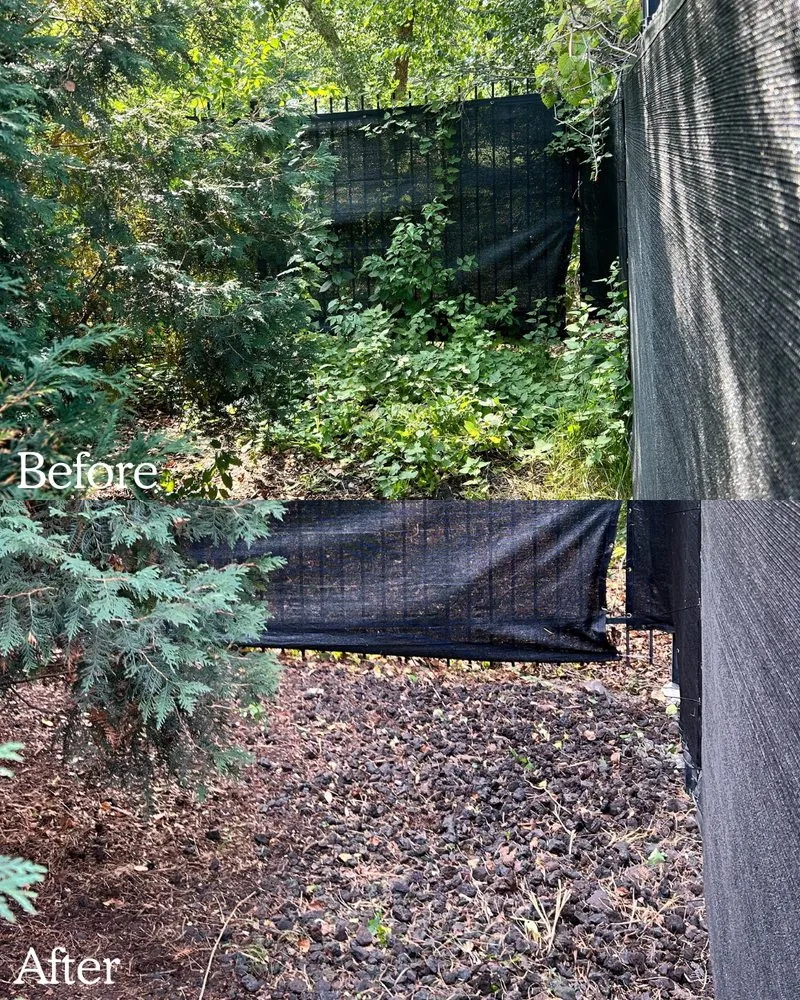 Trusted outdoor landscaping near you in Barrington, IL by BlackRock Outdoor Living