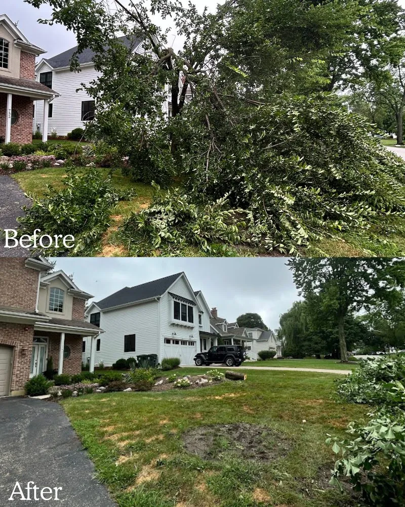 Local yard cleanup service experts serving Barrington, IL - BlackRock Outdoor Living