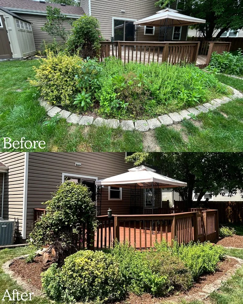 Expert yard cleanup service with custom design across Barrington, IL - BlackRock Outdoor Living