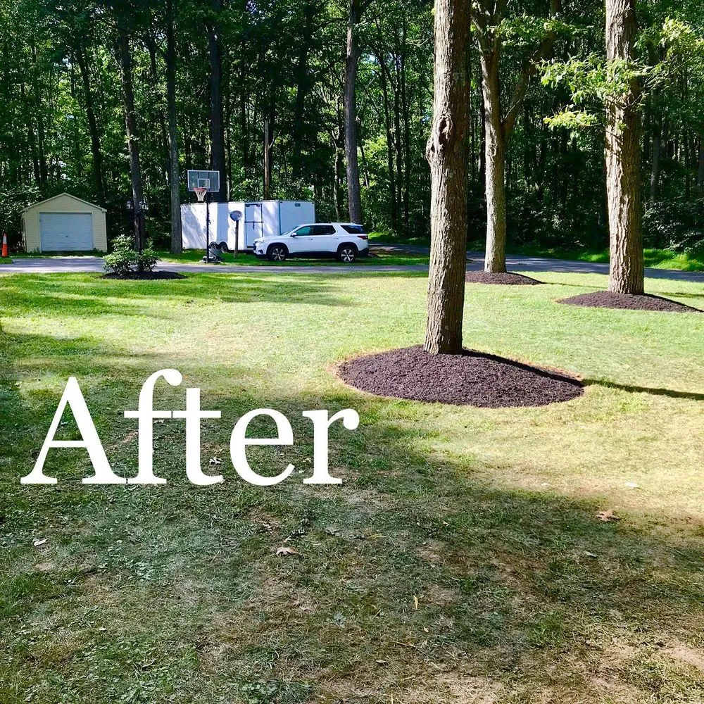Reliable residential landscaping for year-round maintenance across Bedford, PA - Black's Contracting and Landscape