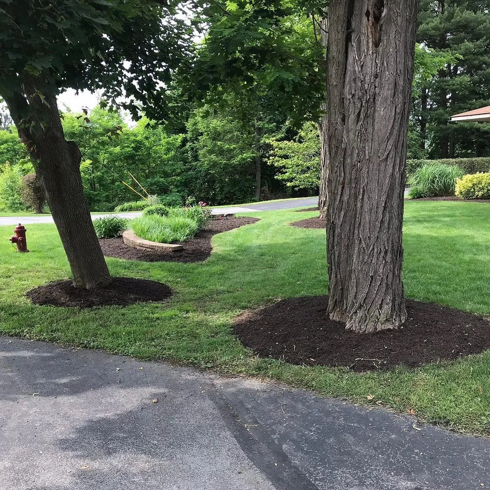 Professional yard cleanup service experts serving Bedford, PA - Black's Contracting and Landscape