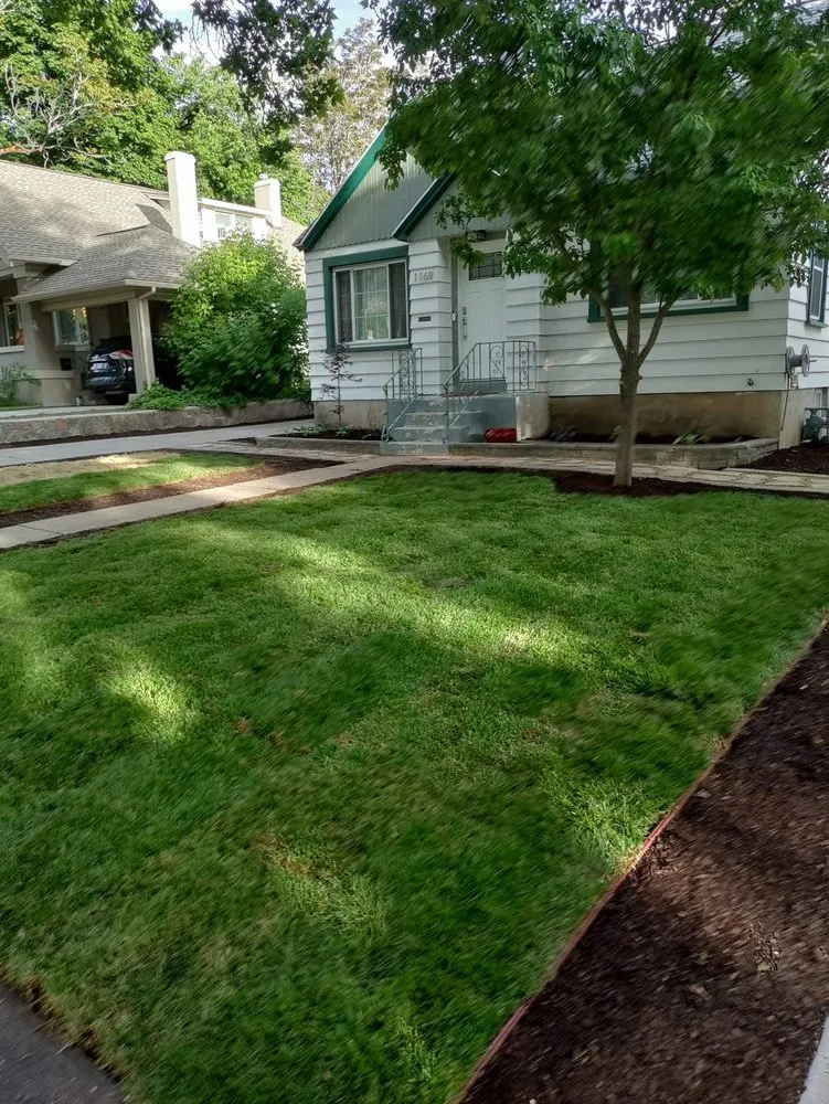 Expert yard cleanup service in Ogden, UT - Black's Lawn and Junk