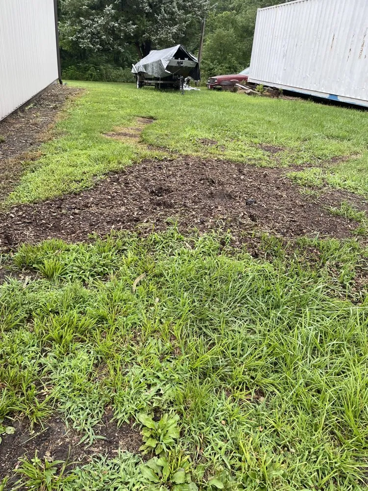 Affordable yard cleanup service in Rolla, MO - Blacks Stump Grinding Powerwashing & Lawn Services