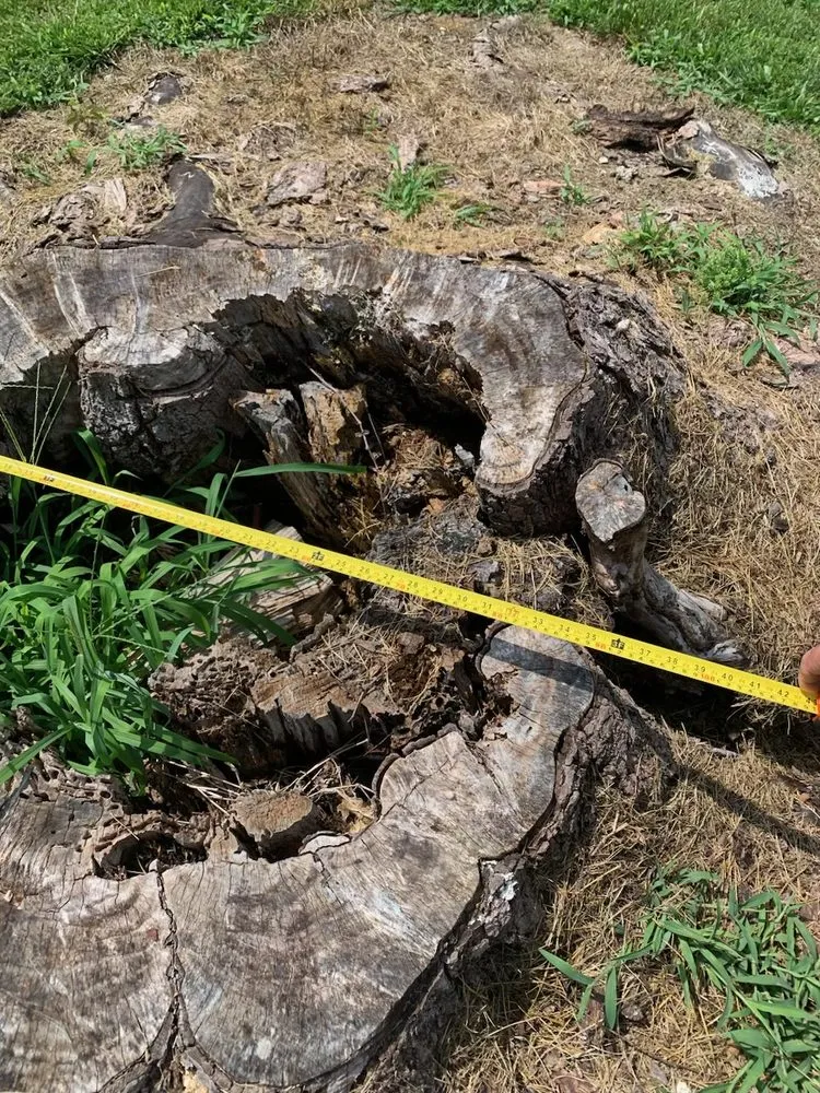 Custom landscaping services experts serving Rolla, MO - Blacks Stump Grinding Powerwashing & Lawn Services