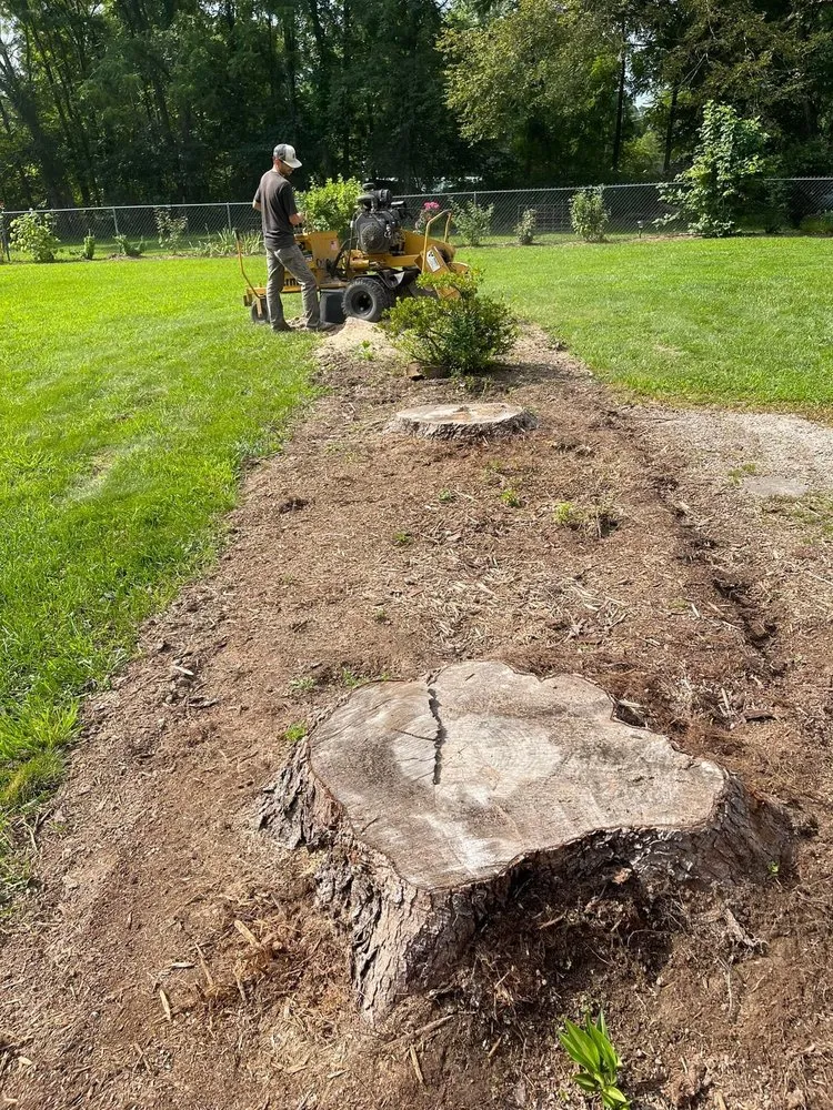 Expert garden landscaping experts serving Rolla, MO - Blacks Stump Grinding Powerwashing & Lawn Services