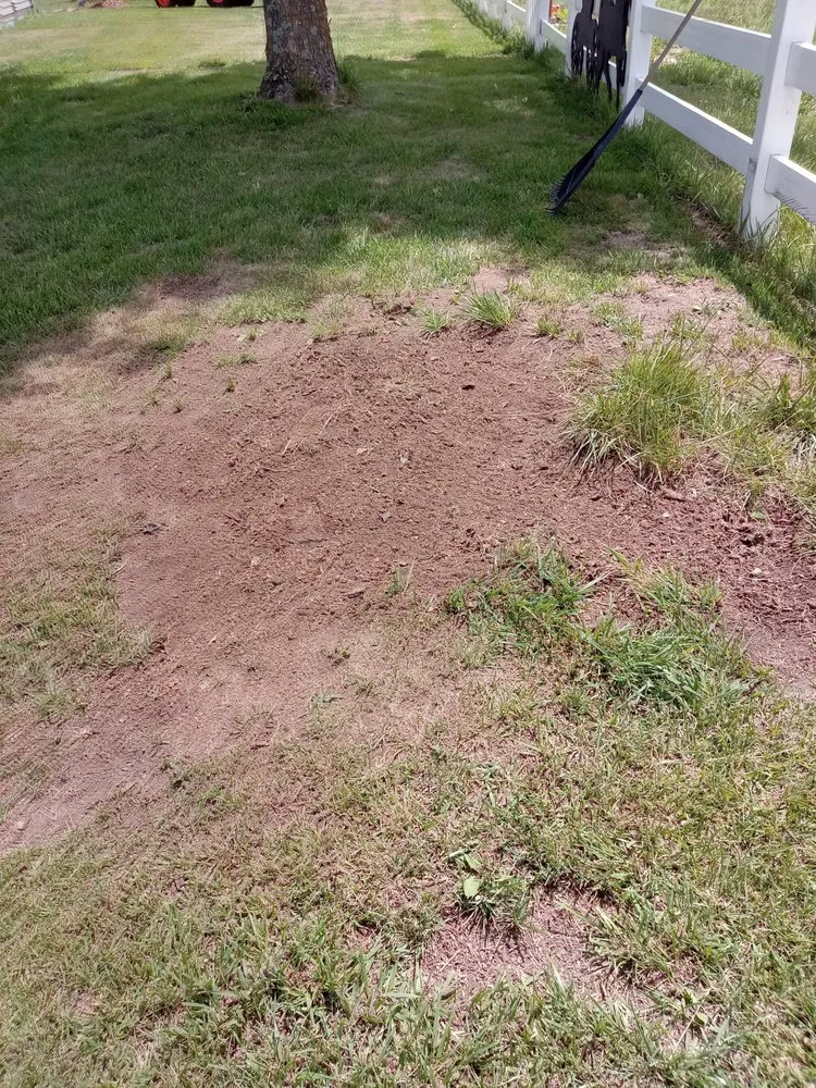 Custom garden landscaping for beautiful yards across Rolla, MO - Blacks Stump Grinding Powerwashing & Lawn Services