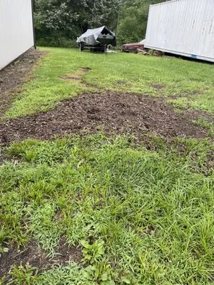 Blacks Stump Grinding Powerwashing & Lawn Services Logo