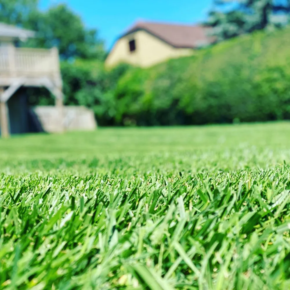 Top-rated outdoor landscaping for beautiful yards across Blacksburg, VA - Blacksburg Lawn Care