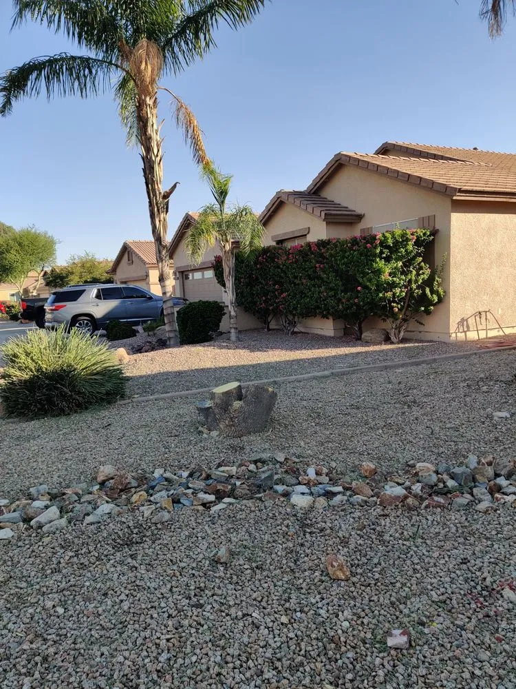 Custom outdoor landscaping for year-round maintenance in Surprise, AZ by BlackSheep Landscapes