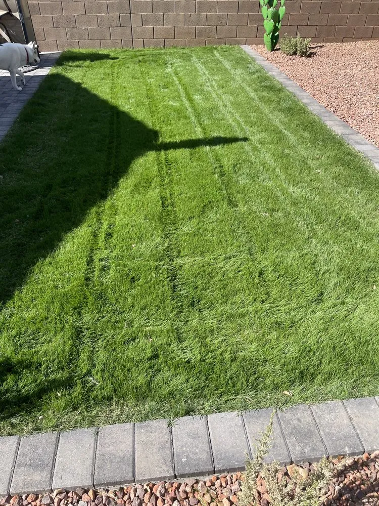 Top-rated outdoor landscaping for residential properties across Surprise, AZ - BlackSheep Landscapes