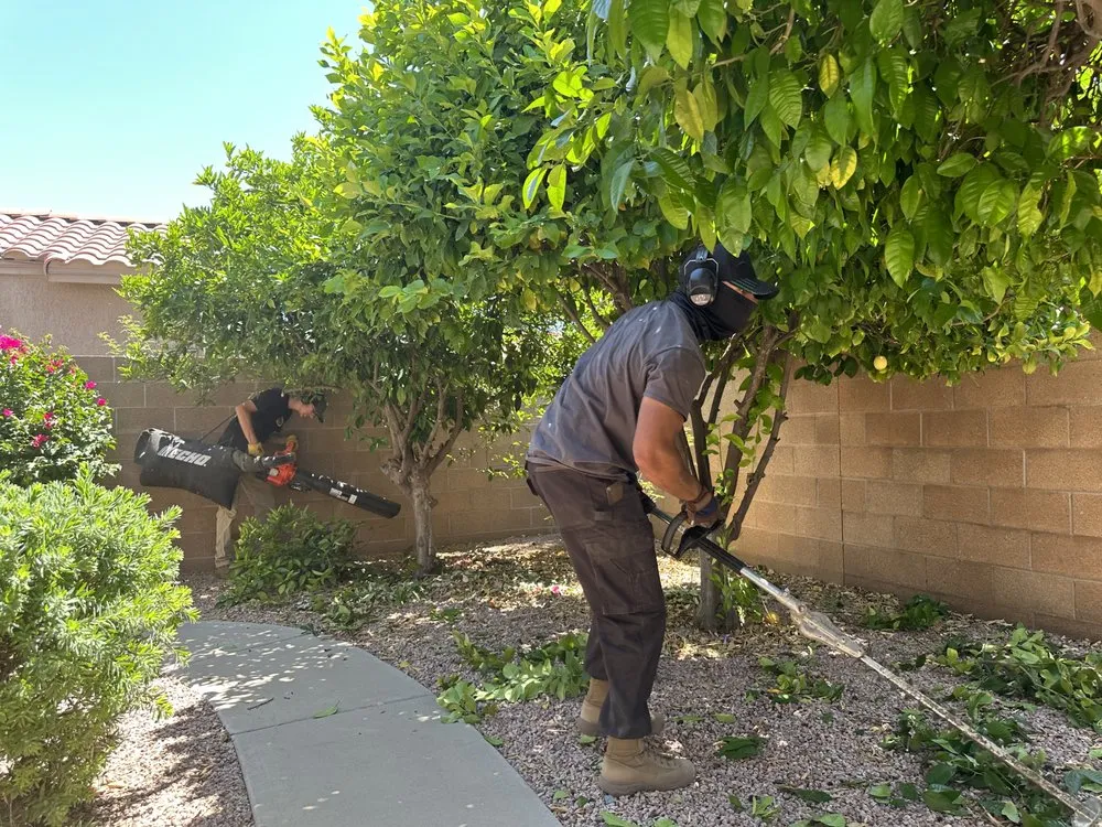 Professional landscape design in Surprise, AZ - BlackSheep Landscapes