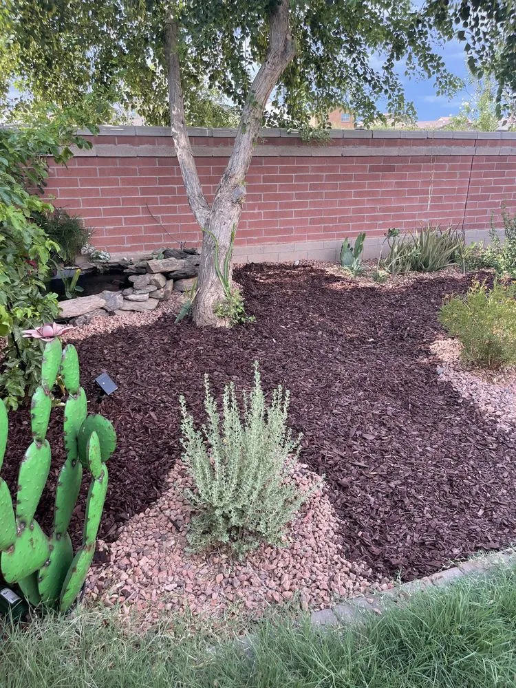 Custom outdoor landscaping for outdoor upgrades across Surprise, AZ - BlackSheep Landscapes