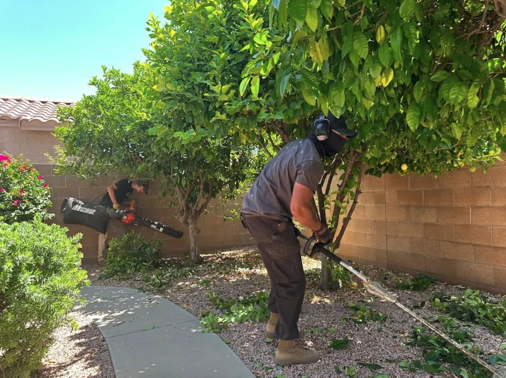 Trusted outdoor landscaping in Surprise, AZ - BlackSheep Landscapes
