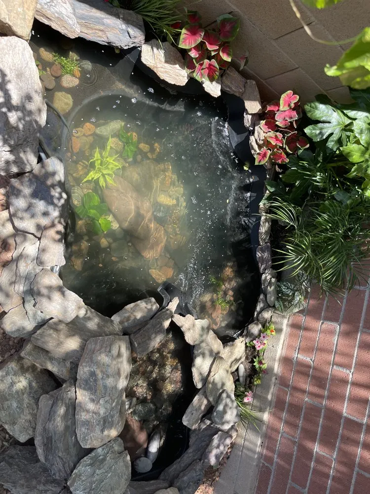 Trusted garden landscaping experts serving Surprise, AZ - BlackSheep Landscapes