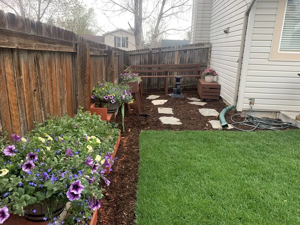 Top-rated garden landscaping in Surprise, AZ by BlackSheep Landscapes