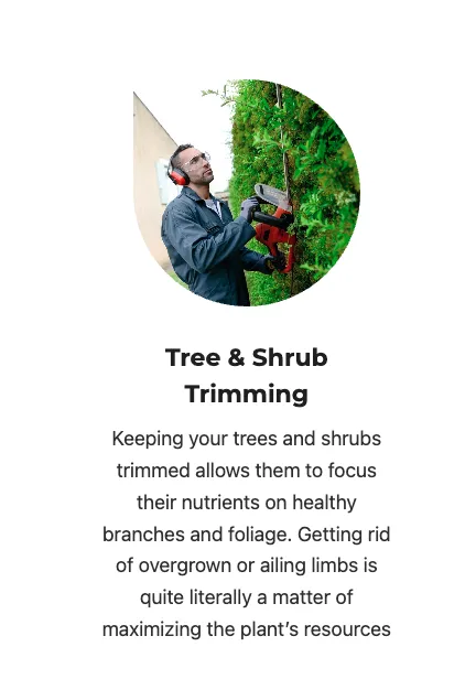 Local lawn care service with custom design in Surprise, AZ by BlackSheep Landscapes