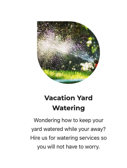 Local lawn care service experts serving Surprise, AZ - BlackSheep Landscapes