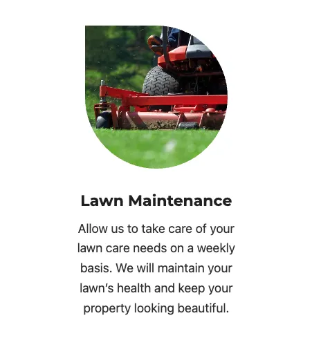 Professional garden landscaping for beautiful yards in Surprise, AZ by BlackSheep Landscapes