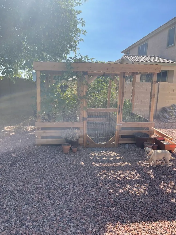 Professional residential landscaping for residential properties in Surprise, AZ by BlackSheep Landscapes