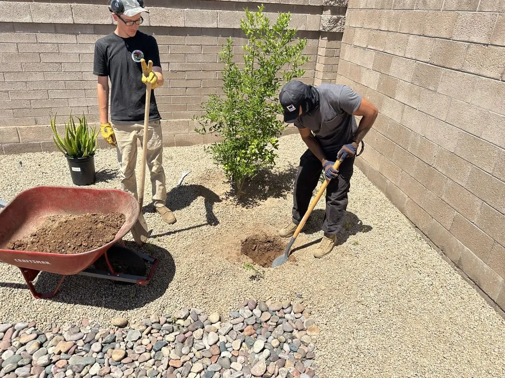 Reliable landscape installation for residential properties in Surprise, AZ by BlackSheep Landscapes