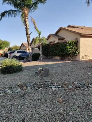 BlackSheep Landscapes Logo