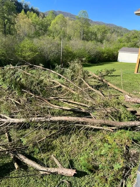 Professional yard cleanup service near you across Evarts, KY - Blackshire Mowing