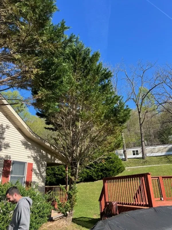Custom landscape design in Evarts, KY by Blackshire Mowing