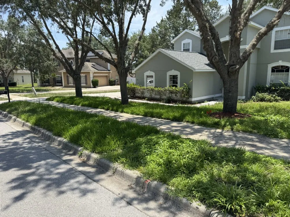 Top-rated garden landscaping in Apopka, FL by Blackstar Enterprise