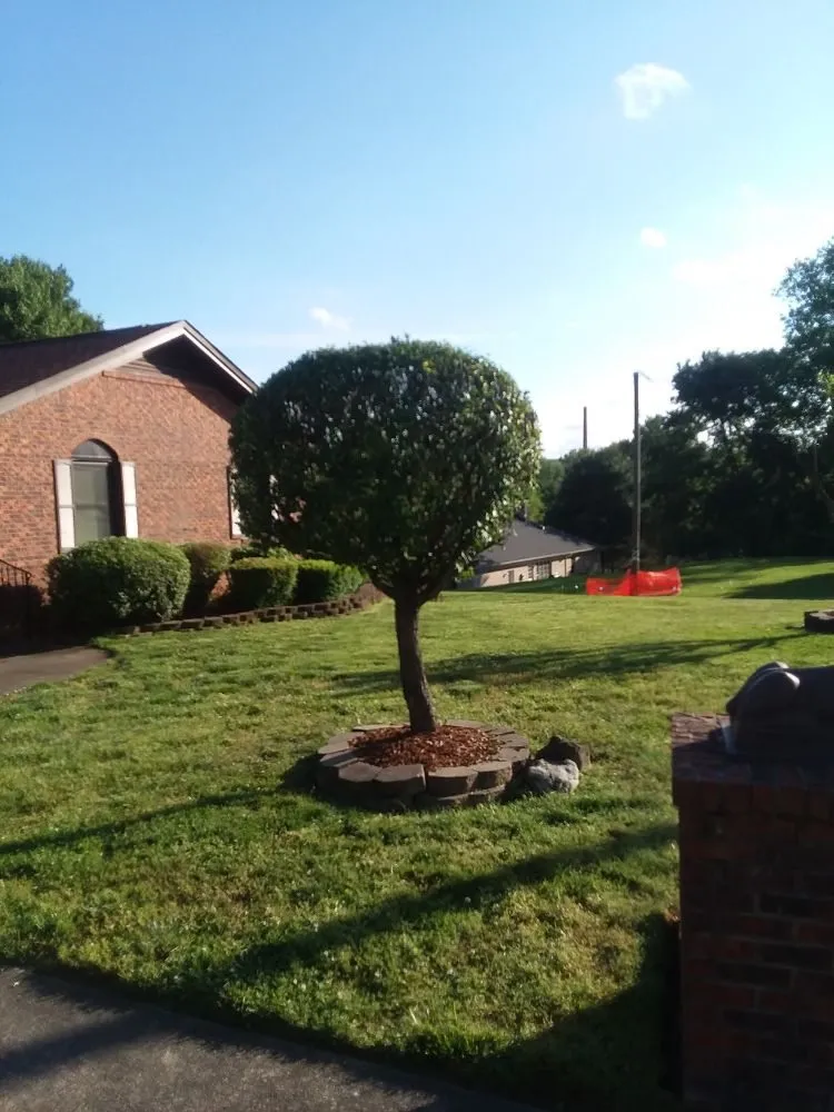 Professional landscape installation for residential properties in Reidsville, NC by Blackstock lawncare